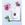 LPG ® endermologie Concentré Drainant - Imagen 2