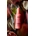 NUTRIPENISH™  REPLENISHING OVERNIGHT SERUM - Imagen 2